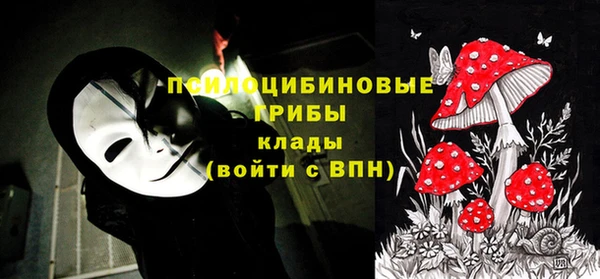 ECSTASY Арсеньев