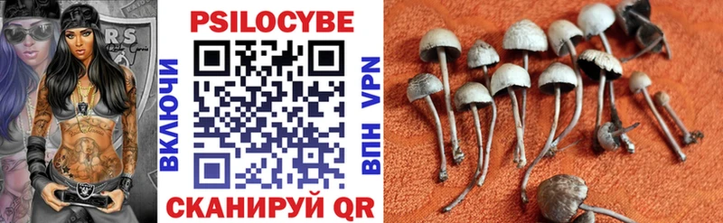 Галлюциногенные грибы MAGIC MUSHROOMS  как найти закладки  Мещовск 